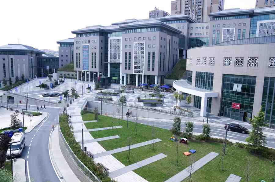 Halic University